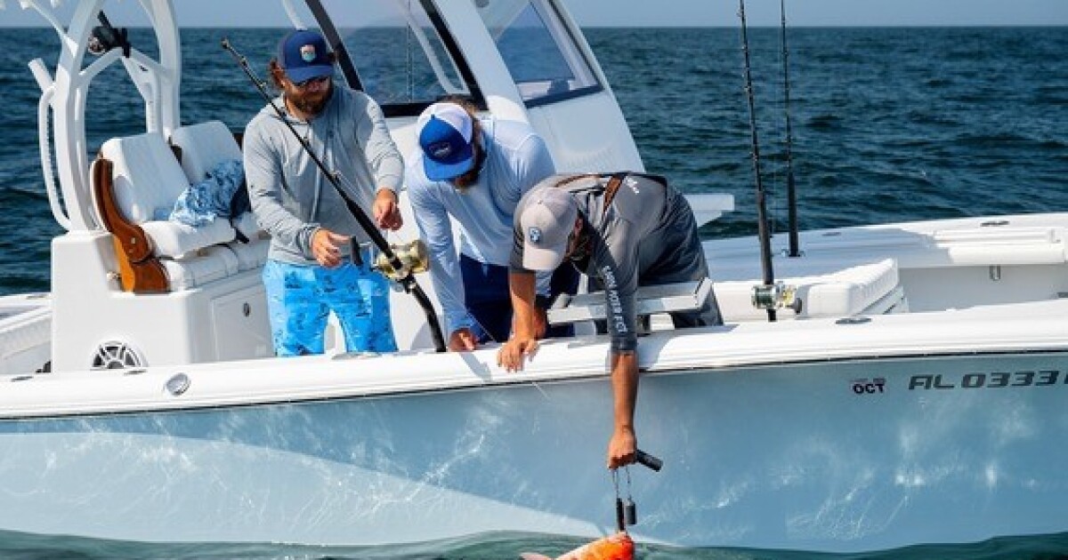 Extended red snapper fishing season to open July 1