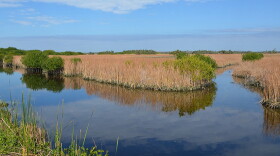 The site for the proposed exploratory drill is six miles outside of Miramar, FL.
