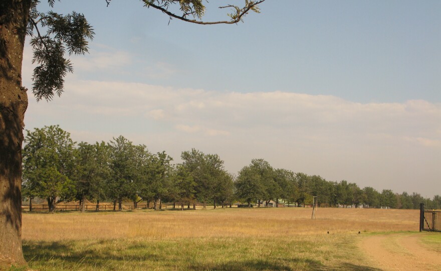 In Jassy Mackenzie's novels, bucolic tranquility carries an undercurrent of menace. She points out that in the wide, empty fields outside of Johannesburg, a crime victim would be far from help.