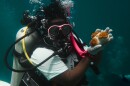 Black in Marine Science member holds a coral during the restoration dive