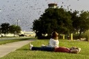 Bailey and Nigel Hughes of Wichita watch purple martins fill the skies near Wichita's airport. The birds are gathering each night on their annual migration to South America.