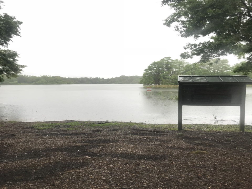 Lake Alice in Gainesville full from thunderstorms.