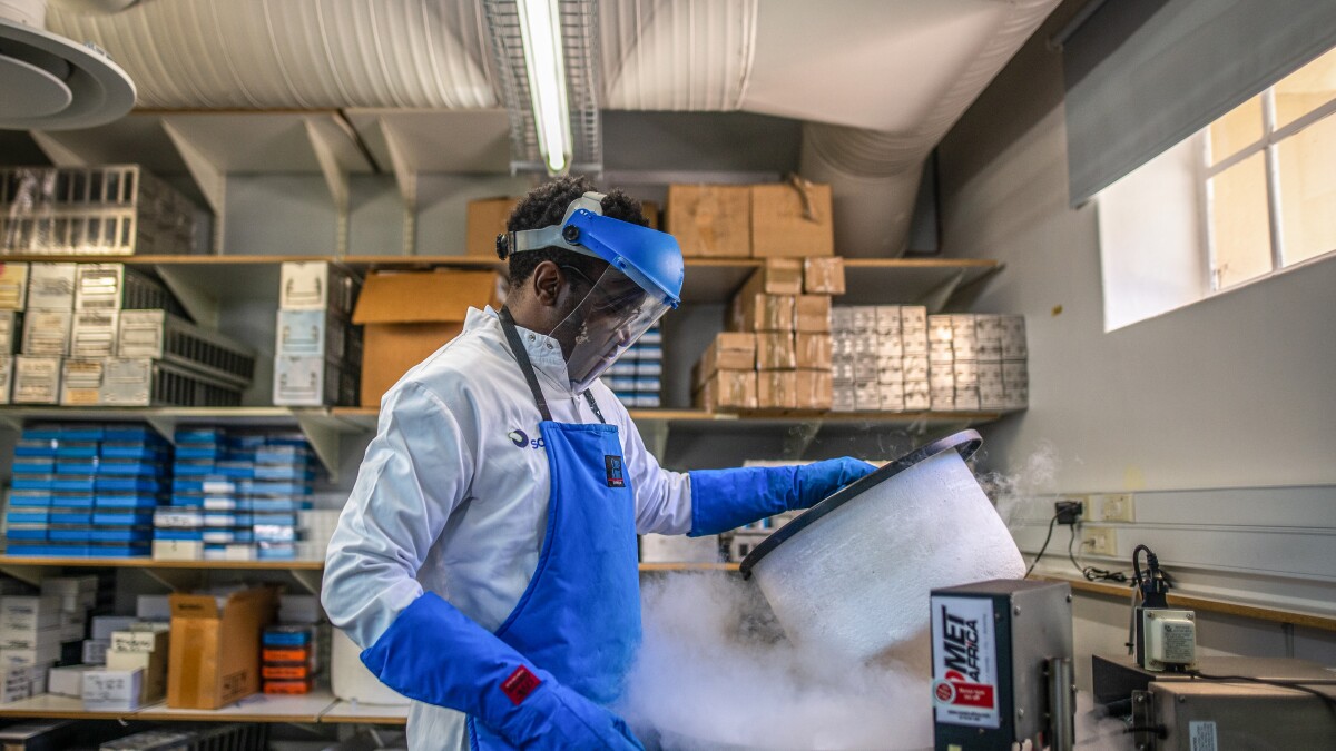 Frozen cells reveal a clue for a vaccine to block the deadly TB bug ...