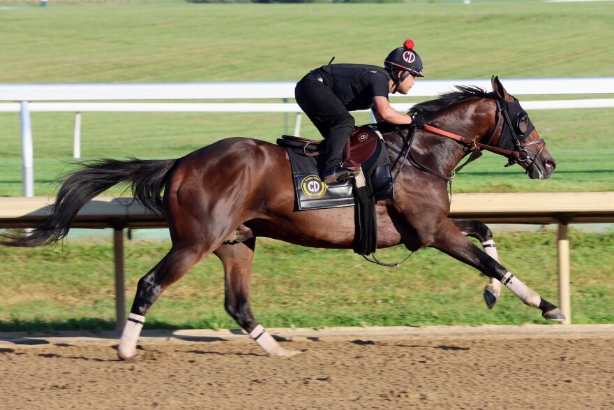 Golden Tempo recently had a workout at Keeneland