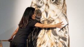 Jana Ireijo is a Hawaiʻi-born visual artist known for her "vanishing murals" made from natural materials.