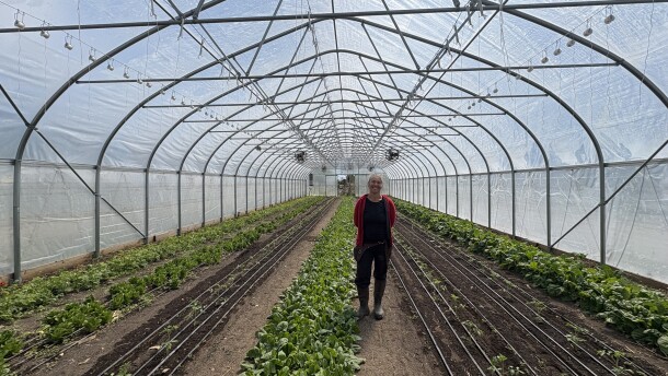 Corinne Hansch has run Lovin' Mama Farm for the past decade, growing the team to around a dozen employees