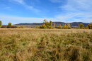 The Kamas Meadows