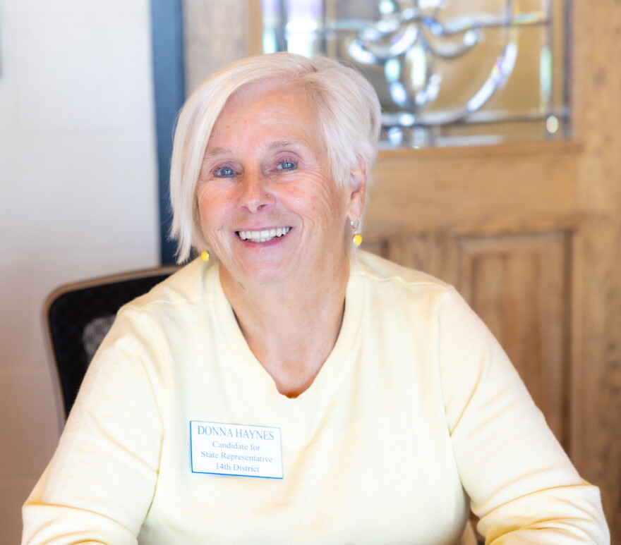 District 14 House candidate Donna Haynes