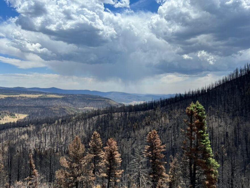 New Mexico Gov. Michelle Lujan Grisham on Sept. 8, 2026, announced that her office had sued the Federal Emergency Management Agency for refusing to reimburse the New Mexico National Guard for costs related to the 2022 Hermits Peak-Calf Canyon Fire.
