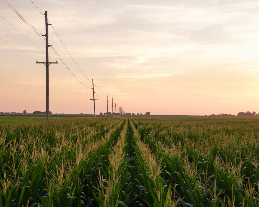 Cruz Urias Beltran collapsed because of heat-related illness while working in a cornfield near Grand Island, Neb., in 2018. He is one of at least<strong> </strong>384 workers who died from environmental heat exposure in the U.S. in the last decade, according to an investigation by Columbia Journalism Investigations and NPR.