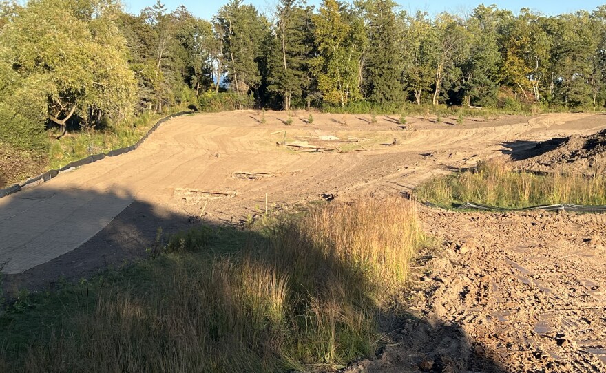 Wetland restoration in progress.