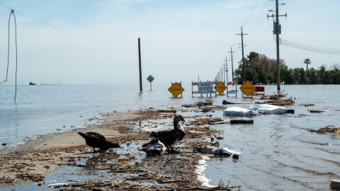 A closed and flooded road in Kings County shows the magnitude of disaster created by the return of Tulare Lake. Photo from 2023.
