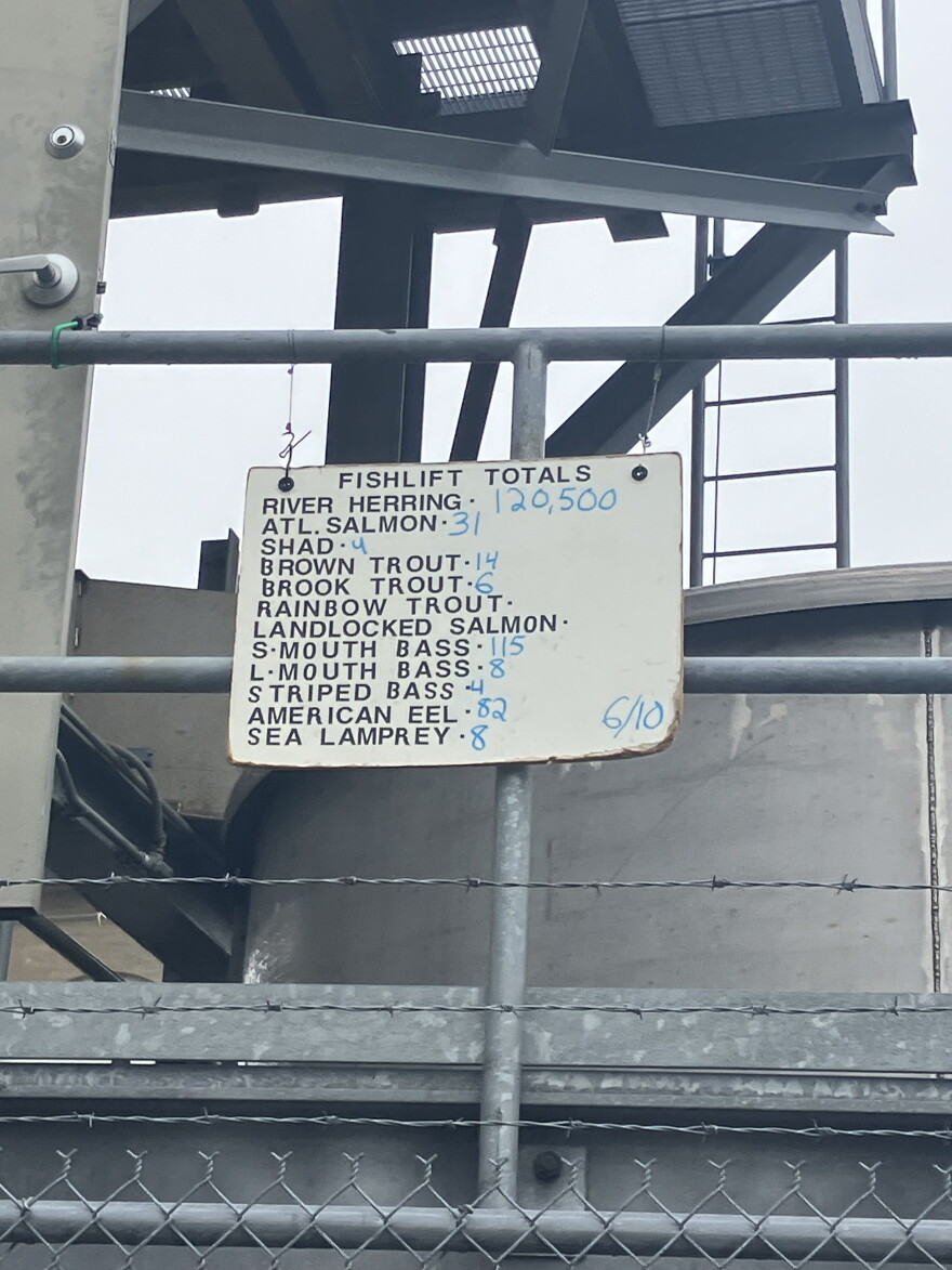 A sign at the Lockwood Dam keeps a running total of individuals carried by the fish lift this year.
