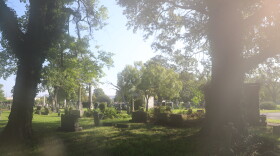 Graves at Norfolk's Elmwood Cemetery in September 2026.