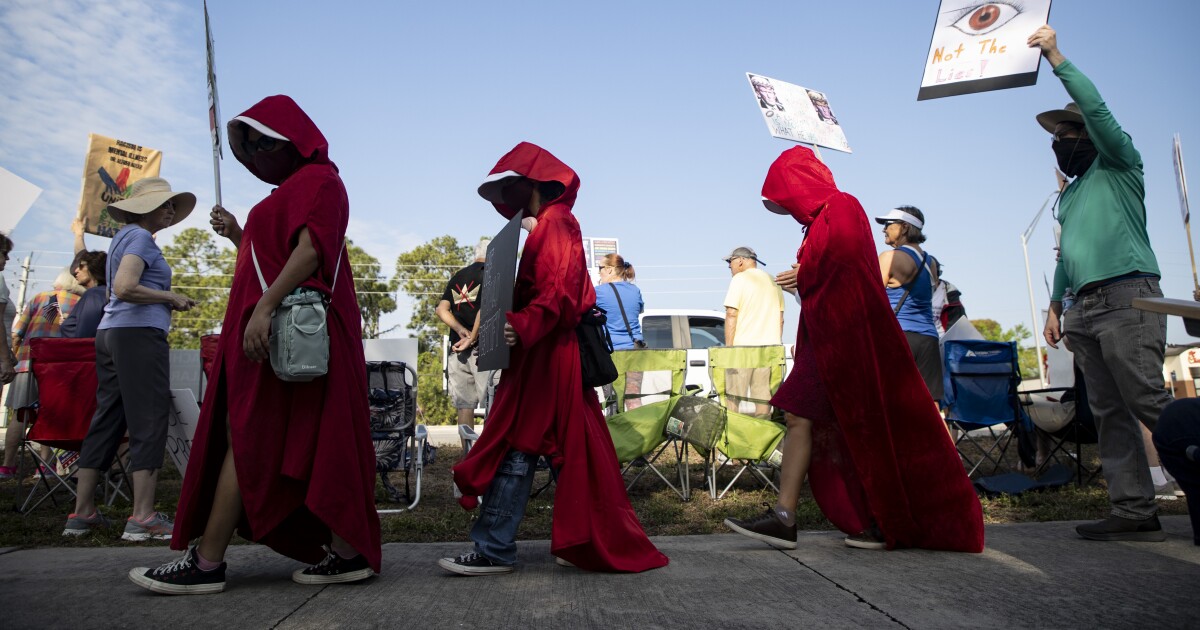 Thousands across Southwest Florida voice opposition to current Washington administration in third No Kings protest