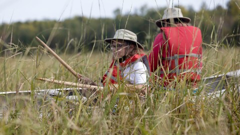 Two people sit in a canoe in a wild rice bed wearing life jackets and wide-brimmed hats