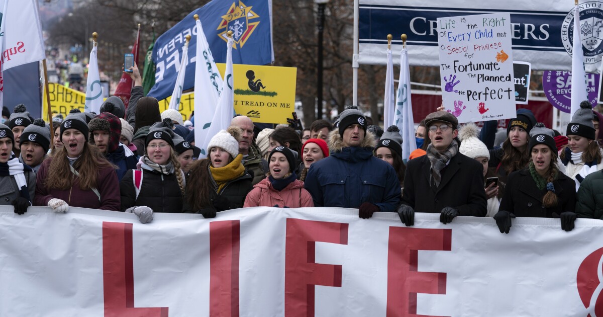 Idaho Senate committee rejects Texas-style abortion law for now - Boise State Public Radio