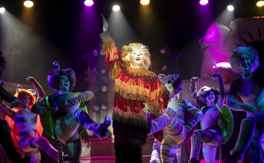 Cast members of CATS perform during a dress rehearsal on Wednesday, Feb. 18, 2026, at Broadway Palm Dinner Theater in Fort Myers.