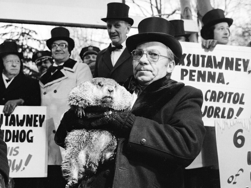 Jim Means holds up a sleepy Punxsutawney Phil at daybreak on, Feb. 2, 1980, in Punxsutawney, Penn. The groundhog's "Inner Circle" still dresses the same today.