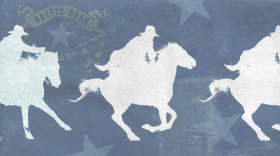 Nevada state shape and flag overlayed on textured background.