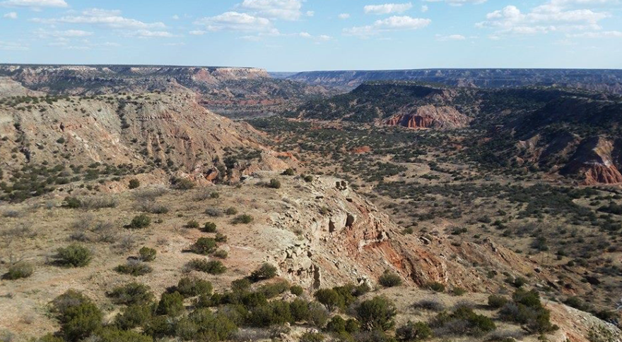 “He thought the bold diagonal of caprock rim that divided the high plains from the southern plains, the red canyons of the Palo Duro, striking and exotic.”