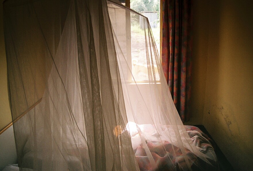 One of the tools for fighting malaria is the bed net. Has it been successful?