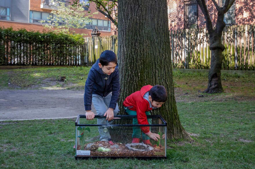 The Agha family finds Holly, who is "not a fast walker," easy to care for.
