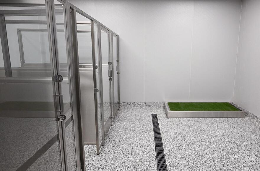 A series of glass doors enclose silver metal kennels. A square of bright green turf grass sits in the corner.