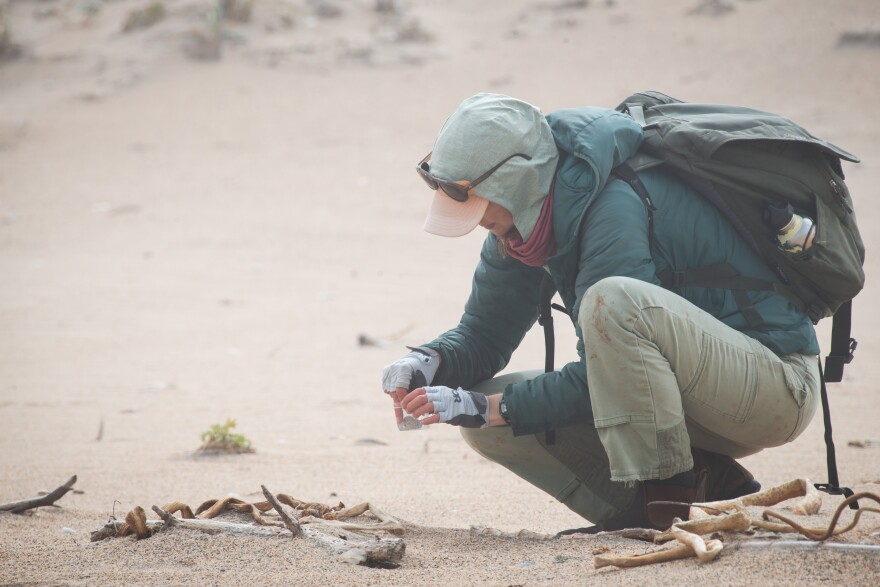 A woman crouches in the sand holding a small cup of water and a tiny egg.