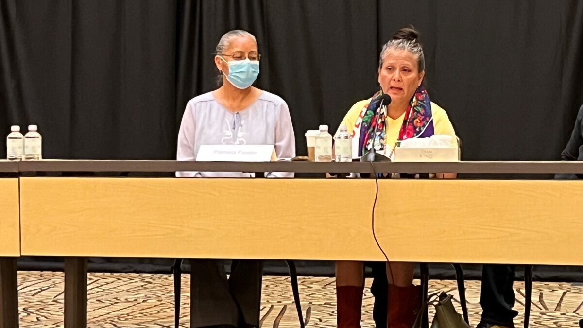 Commission to combat missing and murdered Indigenous people epidemic meets in northern Arizona - Vimarsana News