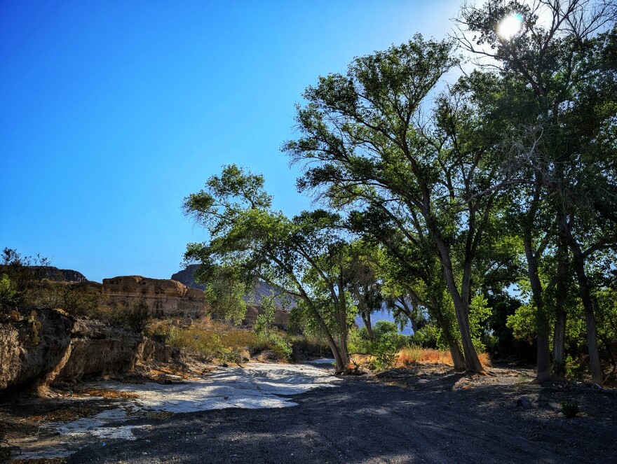 The Native American culture known as La Junta flourished for more than five centuries at the confluence of the Rio Grande and Rio Conchos, at present-day Presidio-Ojinaga. But La Junta communities were also found well away from the river, including at the oasis of Cuevas Amarillas in Big Bend Ranch State Park, pictured above.
