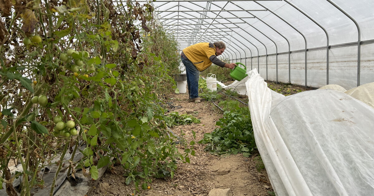 Reshaping the Corn Belt: Small Ohio farms a testbed for the future ...