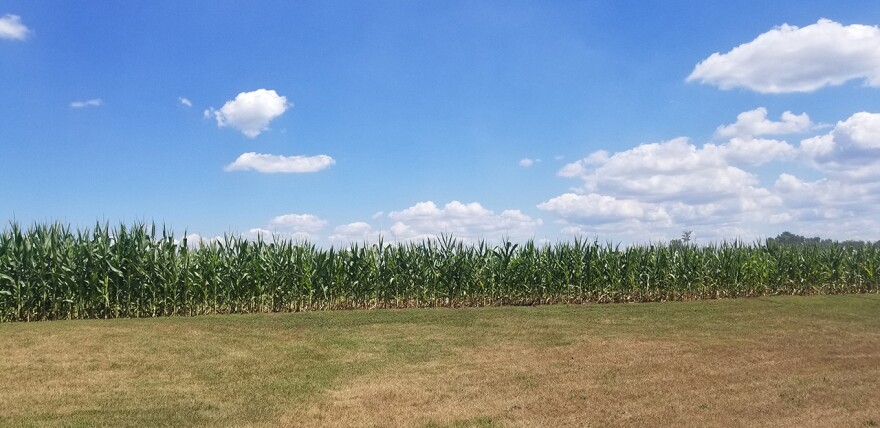 The Purdue University survey of 400 farmers found that one-third of producers are worried that input costs will go up more than four times as rapidly in the upcoming year.