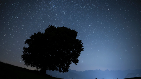 Stars and shooting stars are pictured during the annual perseids meteor shower in St. Margrethenberg, Switzerland Monday, Aug. 12, 2024.