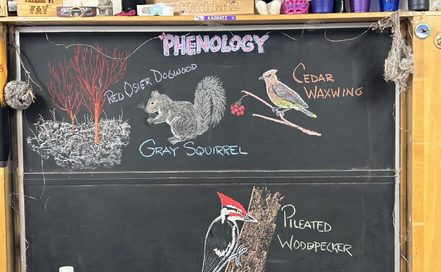 Chalk illustrations depict a Pileated Woodpecker, Cedar Waxwing, gray squirrel, and red osier dogwood.