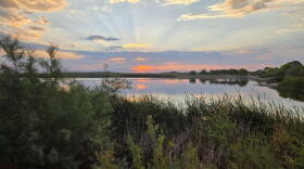 Roper Lake Safford