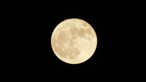 Full moon