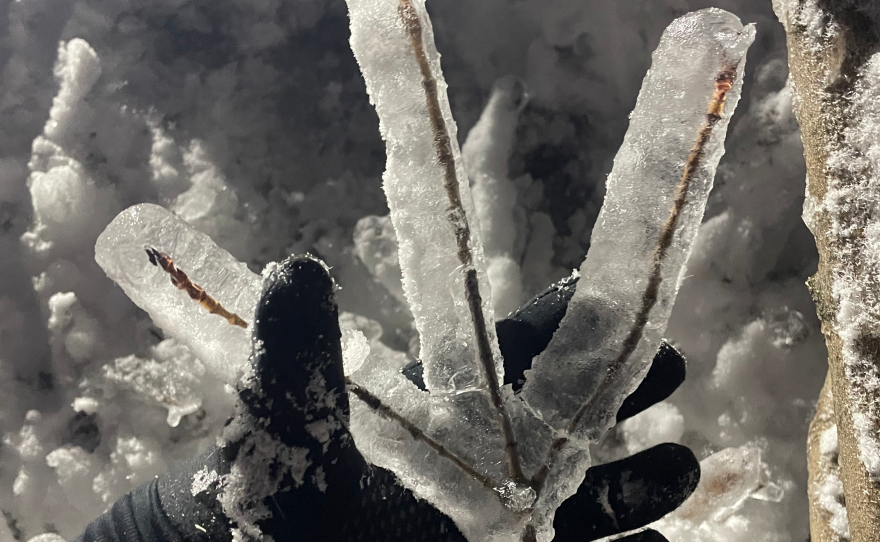 Images from the northern Michigan ice storm that hit March 29 and 30, 2025. (Photo: Brian Brachel/IPR)