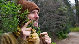 Environmental activist Robin Greenfield points to a rose hip along a walking path at Davidson College.