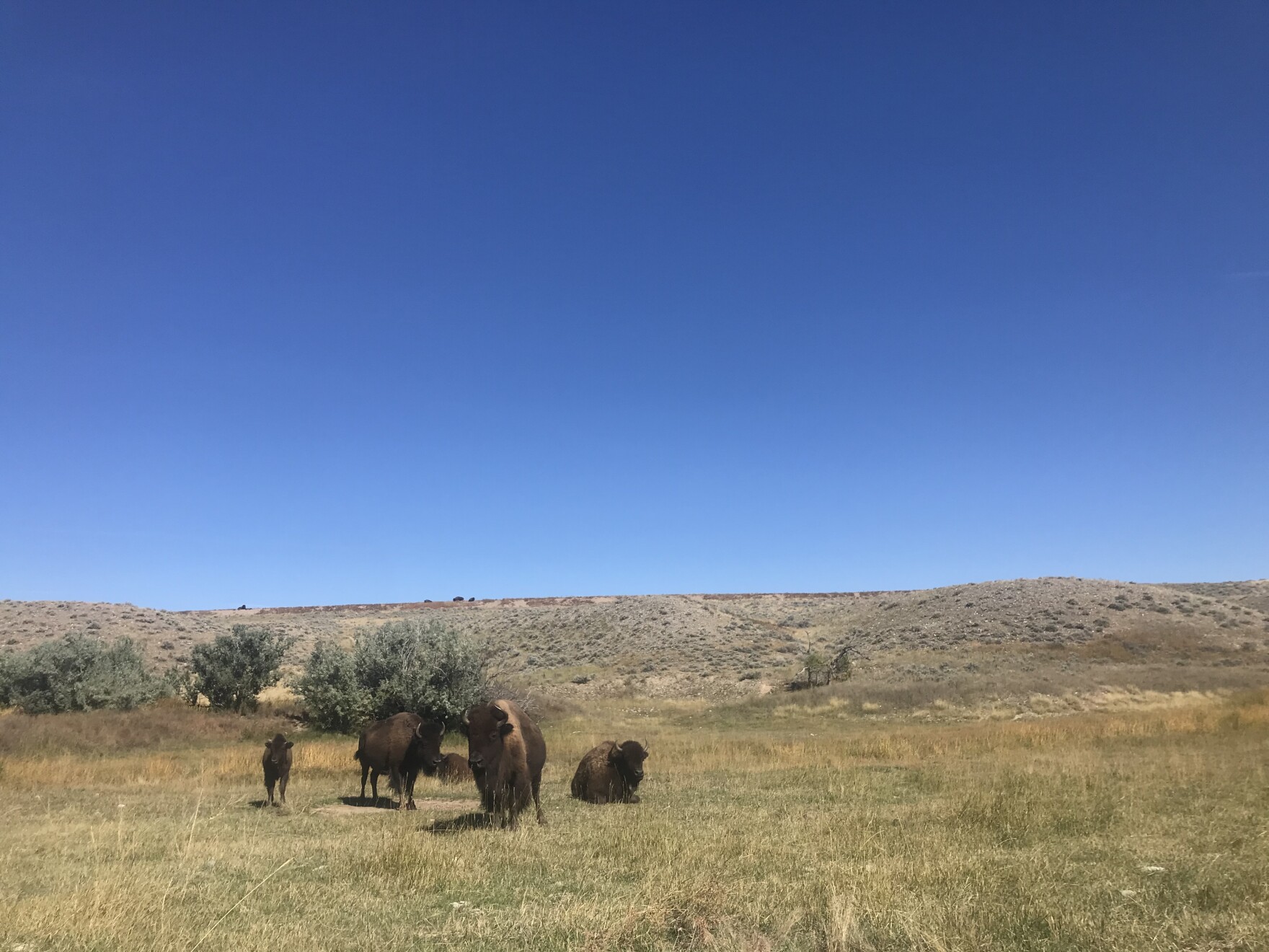 Federal land on Wind River Reservation could go to BLM or Northern