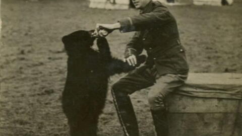 Canadian veterinarian and soldier Harry Colebourn with Winnie the bear cub. (Courtesy of Lindsay Mattick)