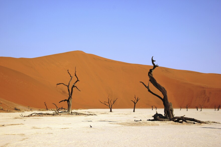 Free Deadvlei image, public domain landscape CC0 photo.