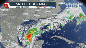 Tropical Storm Isaias churns in the Gulf of Mexico Wednesday, Oct. 7.