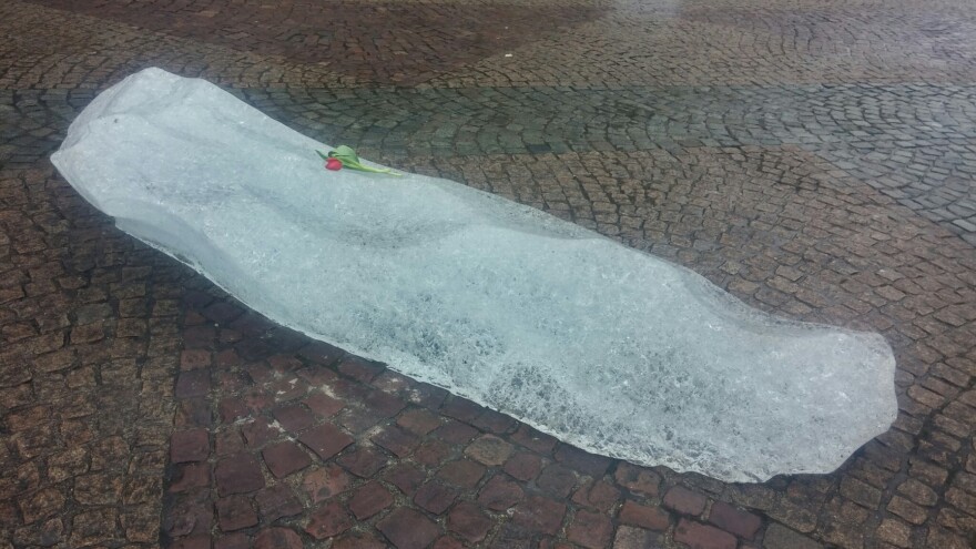 A tulip placed on a melting piece of iceberg brought from Greenland to Paris as part of an art installation called Ice Watch.  