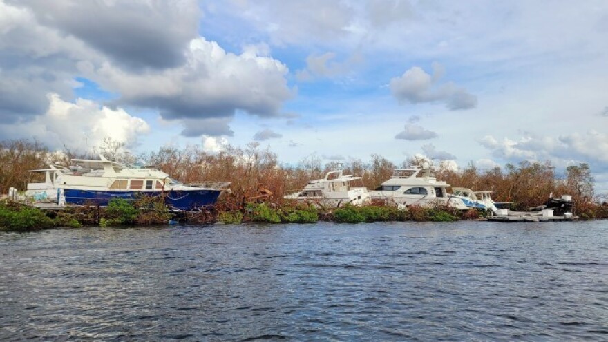 Three boats are beached in brush next to a body of water.