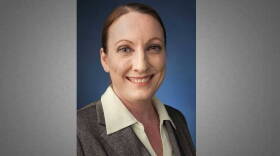 Carol Comer has been appointed commissioner of the Indiana Department of Environmental Management.