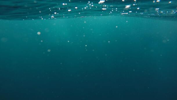 Cape Coral officials rescinded a mandatory boil water advisory due to E. coli found in the public drinking water system 18 hours after they imposed it