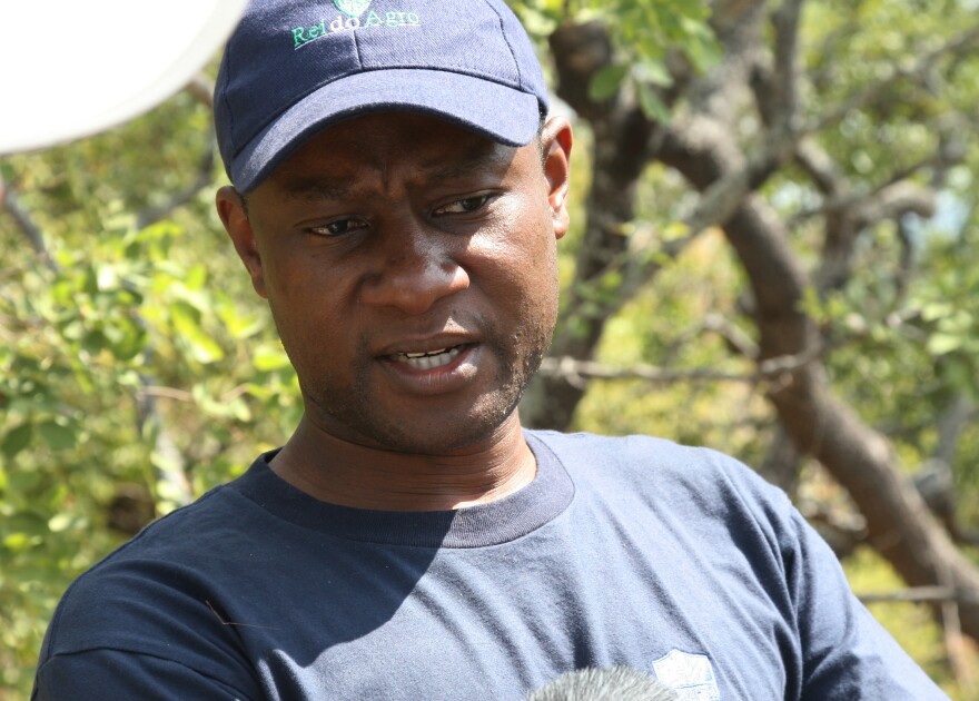 Chishamiso Mawoyo, who grew up in Zimbabwe, is chief operating officer of Aslan Group Africa.
