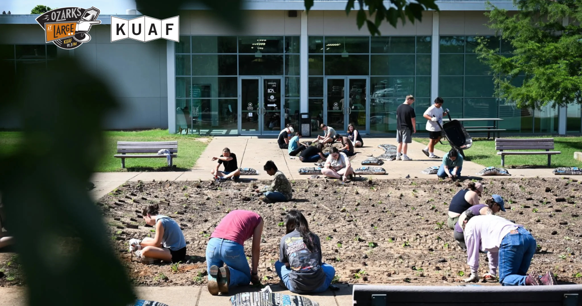 Conservation nonprofits build a career pipeline in Northwest Arkansas
