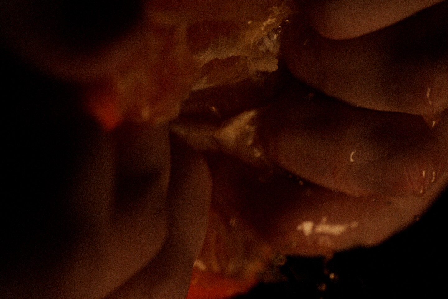 Still from "Make Straight in the Desert."